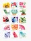 Watercolor the Easy Way: Step-by-Step Tutorials for 50 Beautiful Motifs Including Plants, Flowers, Animals & More